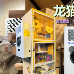 龙猫空调专属清凉